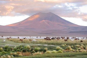 Comunidad indígena activa acciones legales para evitar exploración de agua subterránea cerca del Salar de Atacama